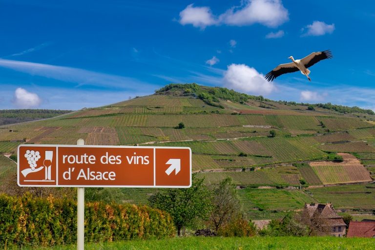 Alsace : découvrir la route des vins en voiture
